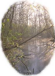 Basse vallée de l'Essonne