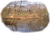 Basse vallée de l'Essonne