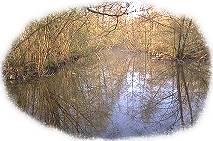 Marais de Misery